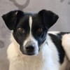 BINO -Kuschelbär sucht Herzenszuhause-