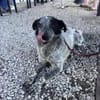 Wilma die süße Maus / am Ammersee