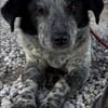 Wilma die süße Maus / am Ammersee