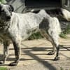 Wilma die süße Maus / am Ammersee