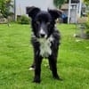 Ruby💕wartet in 48612 Horstmar