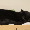 BLACKY