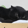 BLACKY