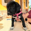LUNA (Martina)