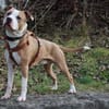 Lucky, aufgeschlossen