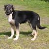 Slim King - Familienanschluss gesucht