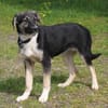 Slim King - Familienanschluss gesucht