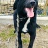 Coco sprüht vor Lebensfreude