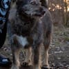Timmy sucht neues Glück