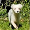 Penny - wartet in 76437 Rastatt