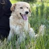 Arlo Kleiner Sonnenschein Arlo sucht sei