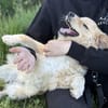 Arlo Kleiner Sonnenschein Arlo sucht sei