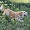 Arlo Kleiner Sonnenschein Arlo sucht sei