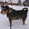Mina sucht ein Zuhause