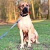 Karma - ist gut trainiert