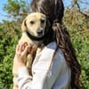 Bex-Leiser, sanfter Schatz sucht sein Gl