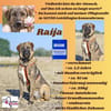 Die liebe 💕Raija 💕sucht ihre Menschen