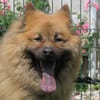 TAIKI