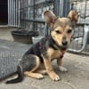 Kleine Fienchen sucht ihre Familie