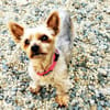 Trixie su. Gnadenbrotplatz