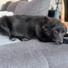 Klein Mü sucht einen Einzelplatz