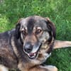 Maggret  angekommen, aufgeblüht und ...