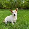 Nina sucht liebevolle Menschen