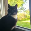 LUMPI sucht dringend Zuhause!