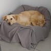 Leo (braucht Geduld,24222 Schwentinental