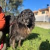 PALU🍀🍀🍀Altersruhesitz gesucht