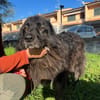 PALU🍀🍀🍀Altersruhesitz gesucht