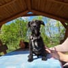 Wilma, lebensfrohe Entdeckerin, ca. 4 Mo