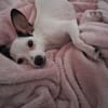 Betsy la douce