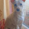 Jessie sucht ihre Familie