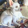 Jessie sucht ihre Familie
