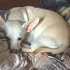 Jessie sucht ihre Familie