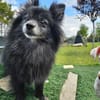 COCO ❤ einfach ein Schatz, Bochum