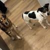 LILOFEE -Bezaubernde, zarte Seele-