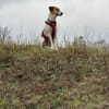 Donna - sportliche Familie gesucht