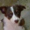 Gaïa
