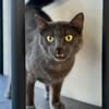 JIJI