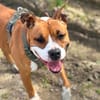 Kayna