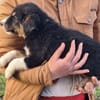 Zuhause gesucht für Bjarne