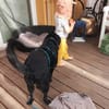 MISS PIPPA * liebevolle Grande Dame