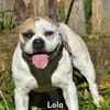 LOLA