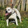 LOLA