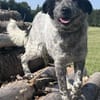 Wilma die süße Maus / am Ammersee