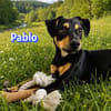 Pablo - aufmerksam und freundlich
