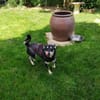 ❤Lusi- kleine Seele sucht ihr Happy End