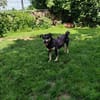 ❤Lusi- kleine Seele sucht ihr Happy End